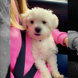 Meet your Posher, Victoria